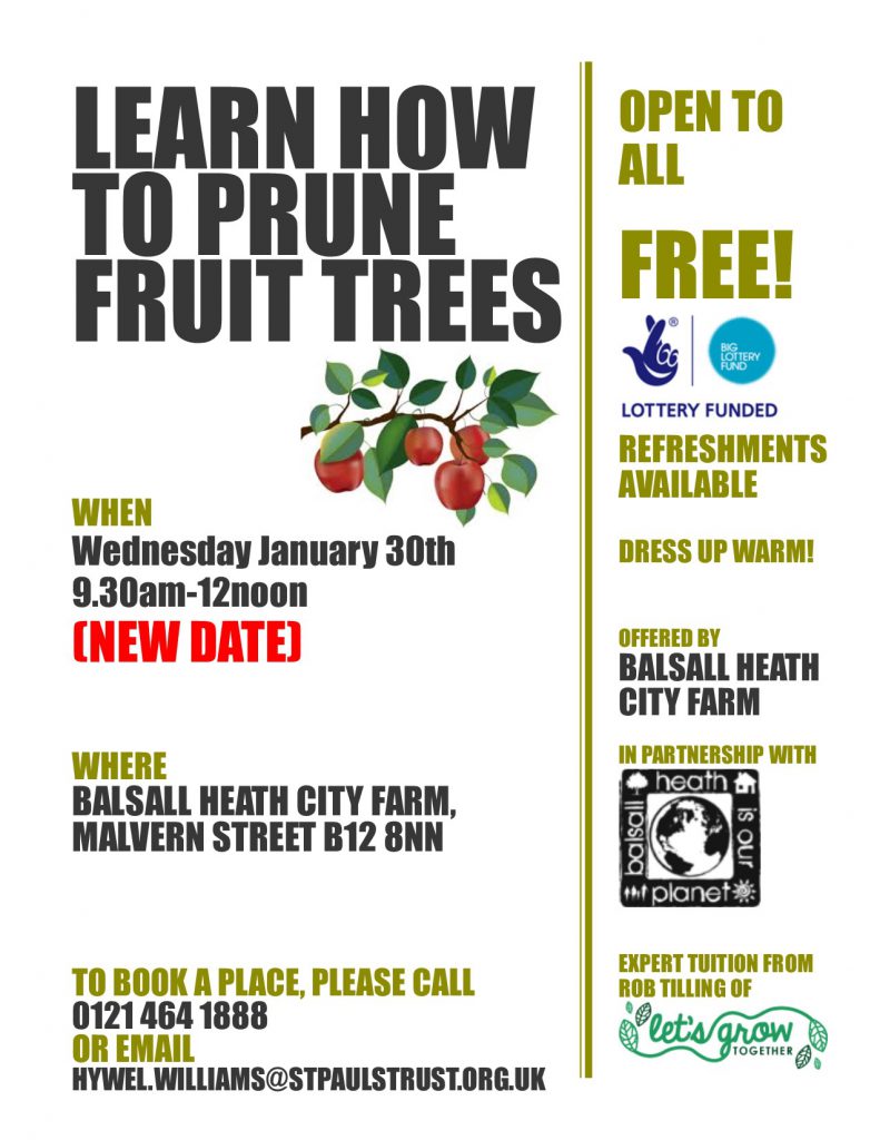 Tree Pruning Poster - Revised Date