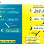NHS Test and Trace Service Information
