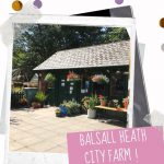 Reopening of Balsall Heath City Farm on Monday 13th July 2020